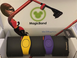 What Are Magic Bands