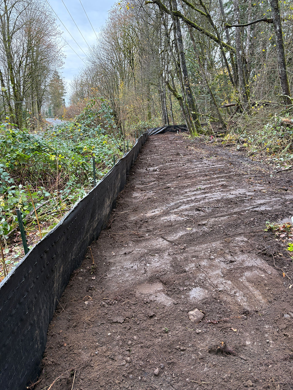 Land Clearing, tree removal, brush removal and landscaping. Preperation for new development in Mission BC. 1000 meters of silt fencing installed  as well as land clearing the area for construction and creating access. this project was completed with an excavator to clear the land and create access.