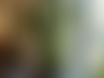 A close-up photograph of a Sansevieria plant in a dark gray marbled ceramic pot, positioned on a windowsill. 