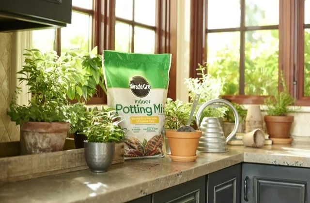 Miracle-Gro Indoor Potting Mix