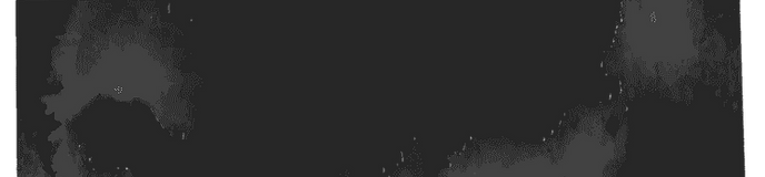 tarja low.png