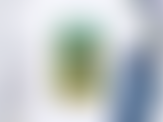 Les Claypool’s Fearless Flying Frog Brigade Tour Los Angeles CA July 14 2023 Shirt