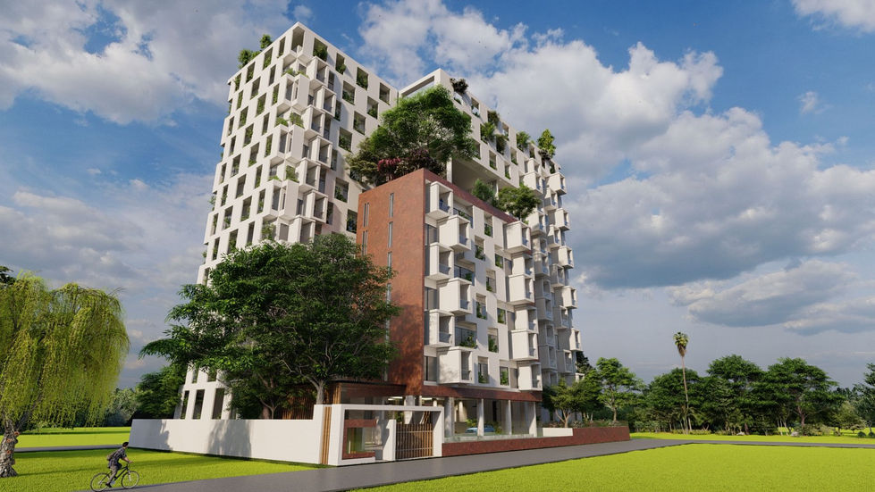 NZ_24K_r3_3 - Photo_result.jpg