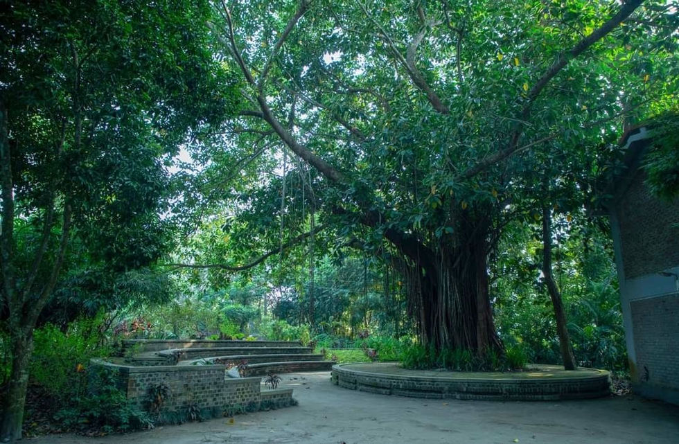 WhatsApp Image 2022-11-16 at 5.52.46 PM (12)_result.jpg