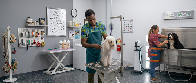 Dog_Grooming.png