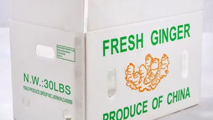 Plastic Corrugated Vegetable and Fruit Bins: The Ideal Solution for Fresh Produce Transport