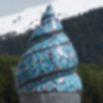 Whelk-Shell-Ketchikan-Alaska