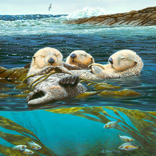 Sea Otter Siesta | alaskanart