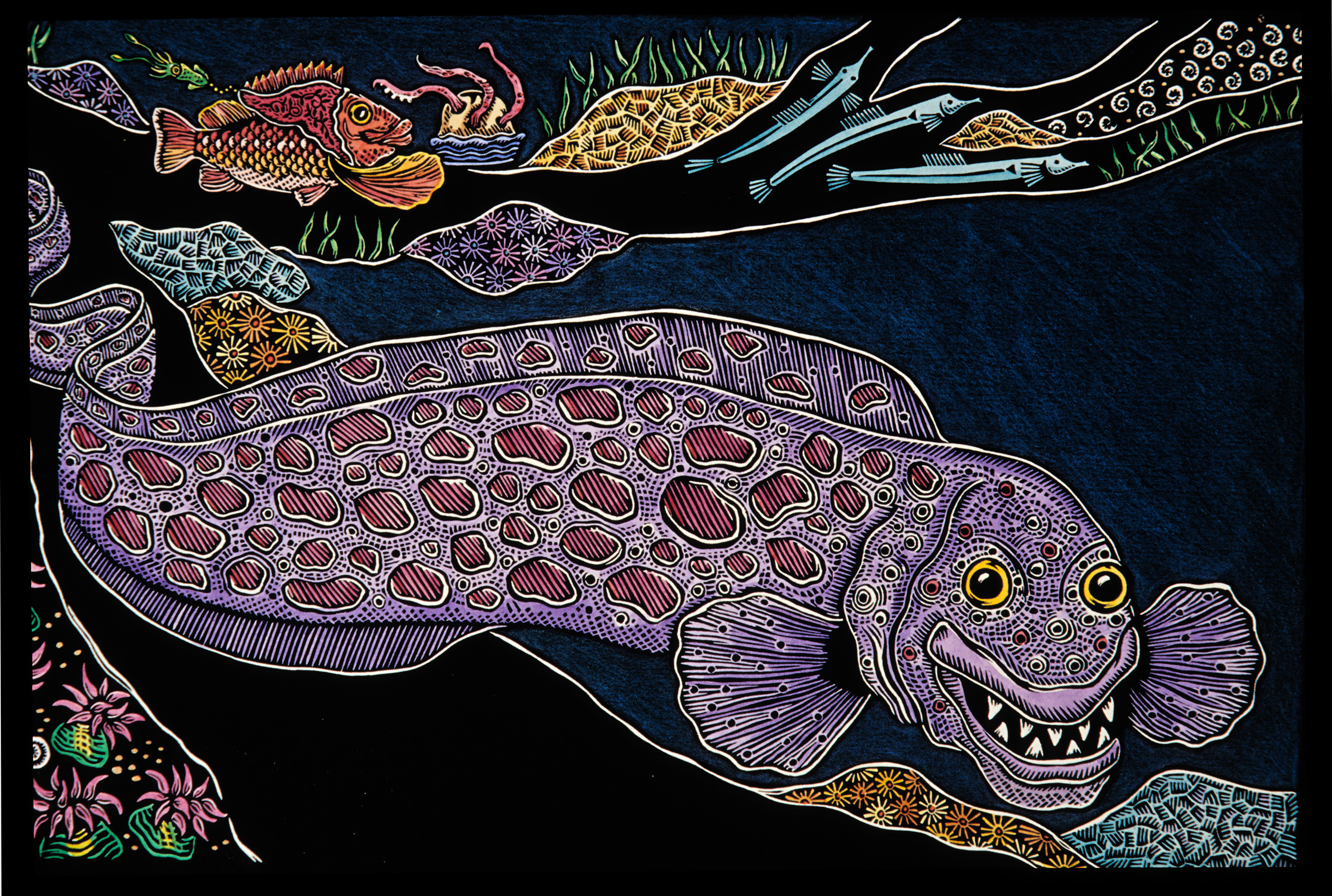Wolf Eel