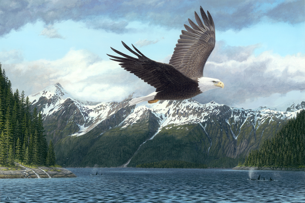 Alaskan Art showcases the art of Alaskan wildlife artist Terry Pyles