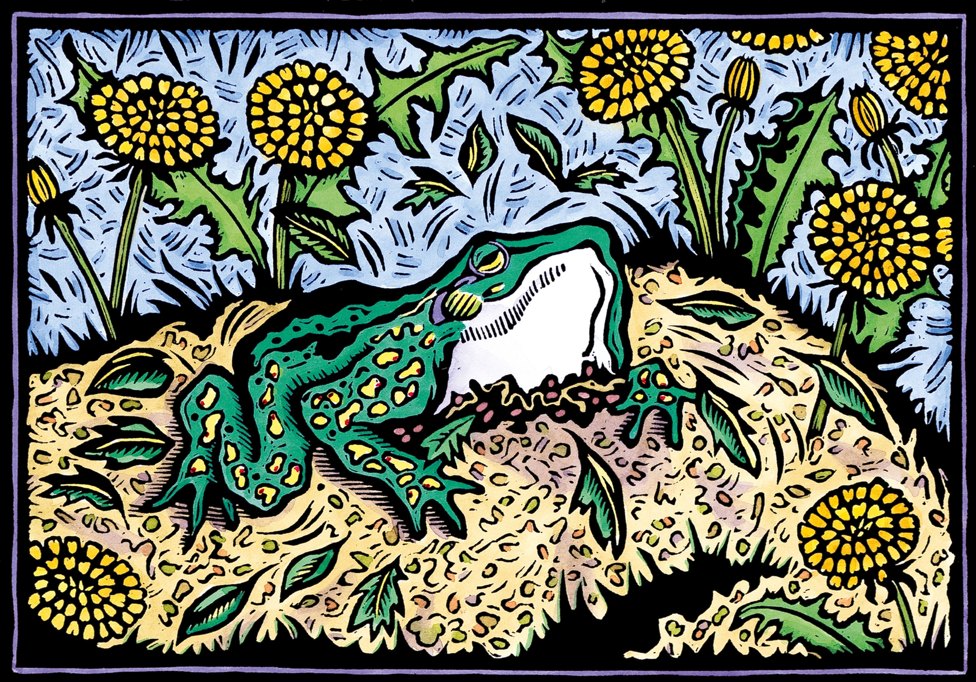 Frog's First Look at Spring