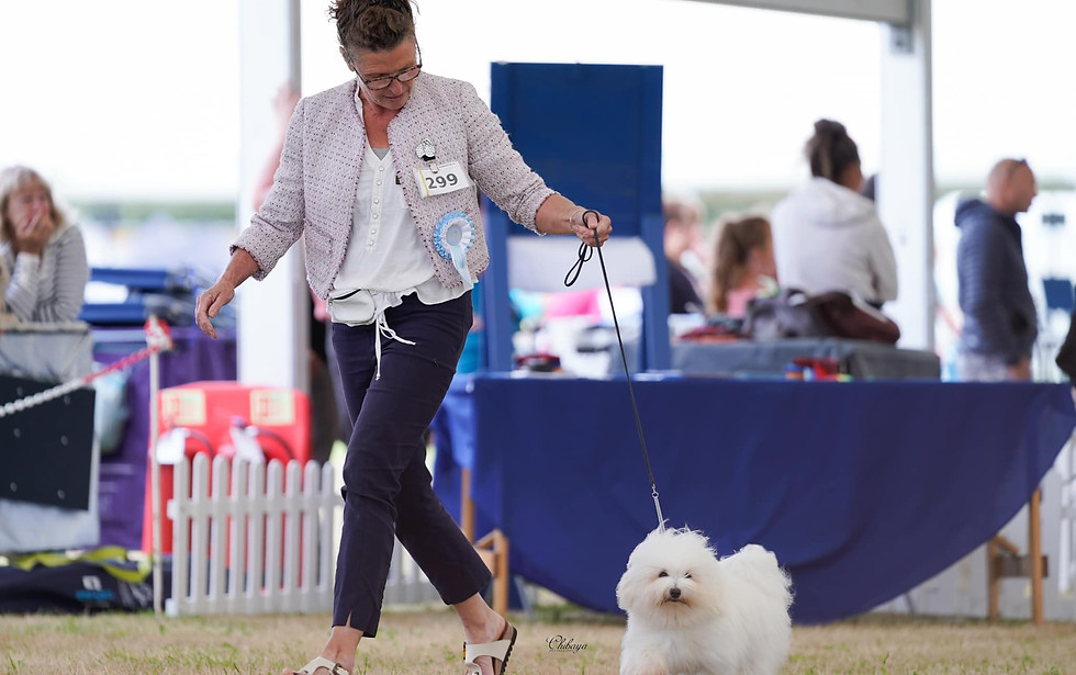 Lisa Harris showing her Coton