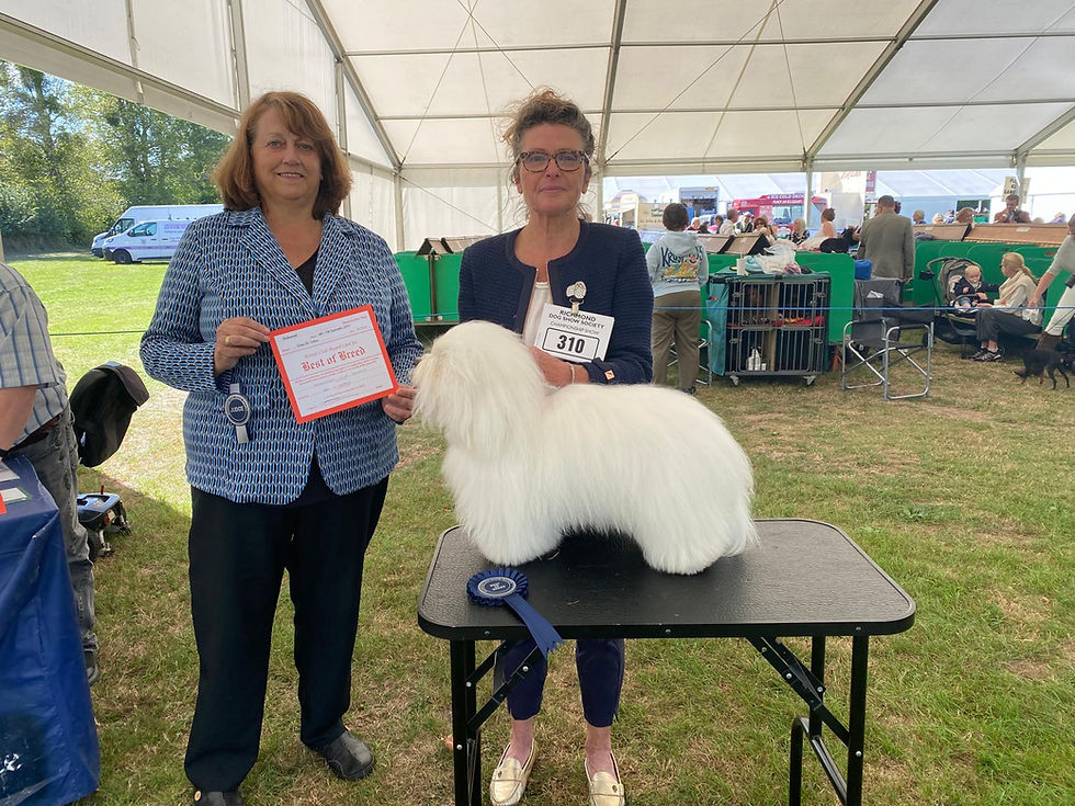 Two women present an award-winning Coton de Tulear dog