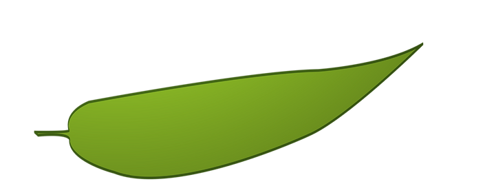 hoja.png