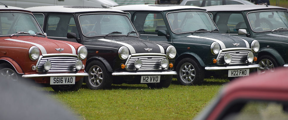 DSC_0047.JPG