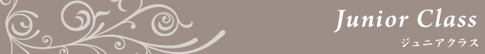 tt_junior.gif