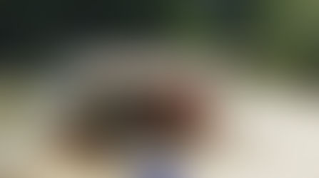 Getting Back - The Missing Season