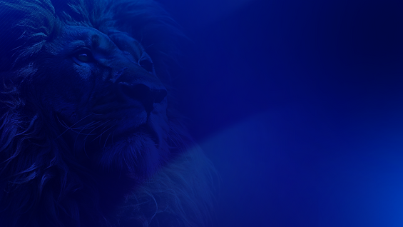 Background 2.png