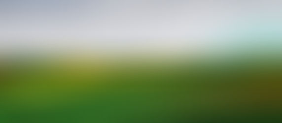 Câmara aprova MP que abre crédito orçamentário para produtores do RS contratarem seguro rural