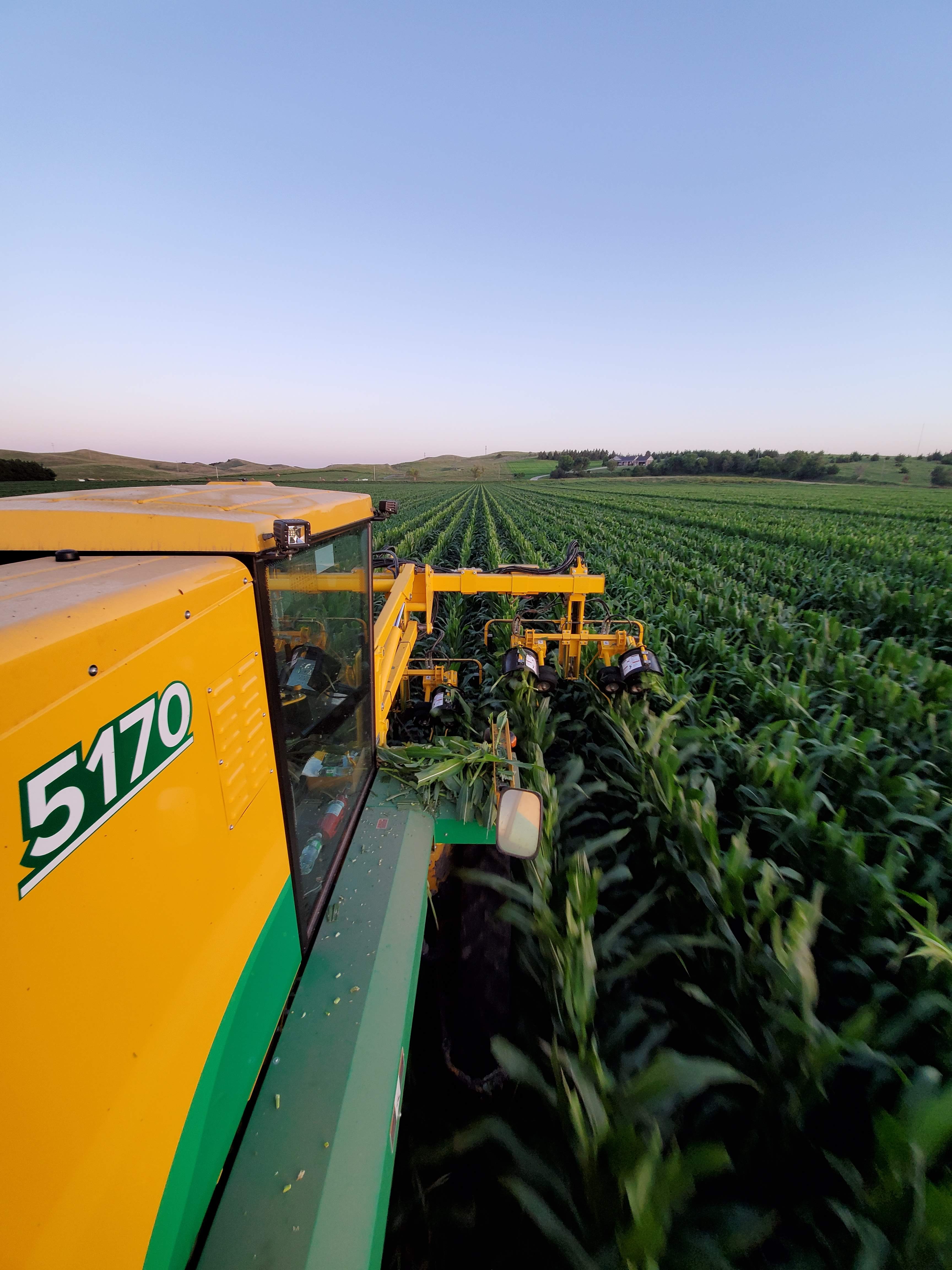 Zangger Popcorn Hybrids North Loup, NE, U.S.A. Popcorn Hybrid Seed