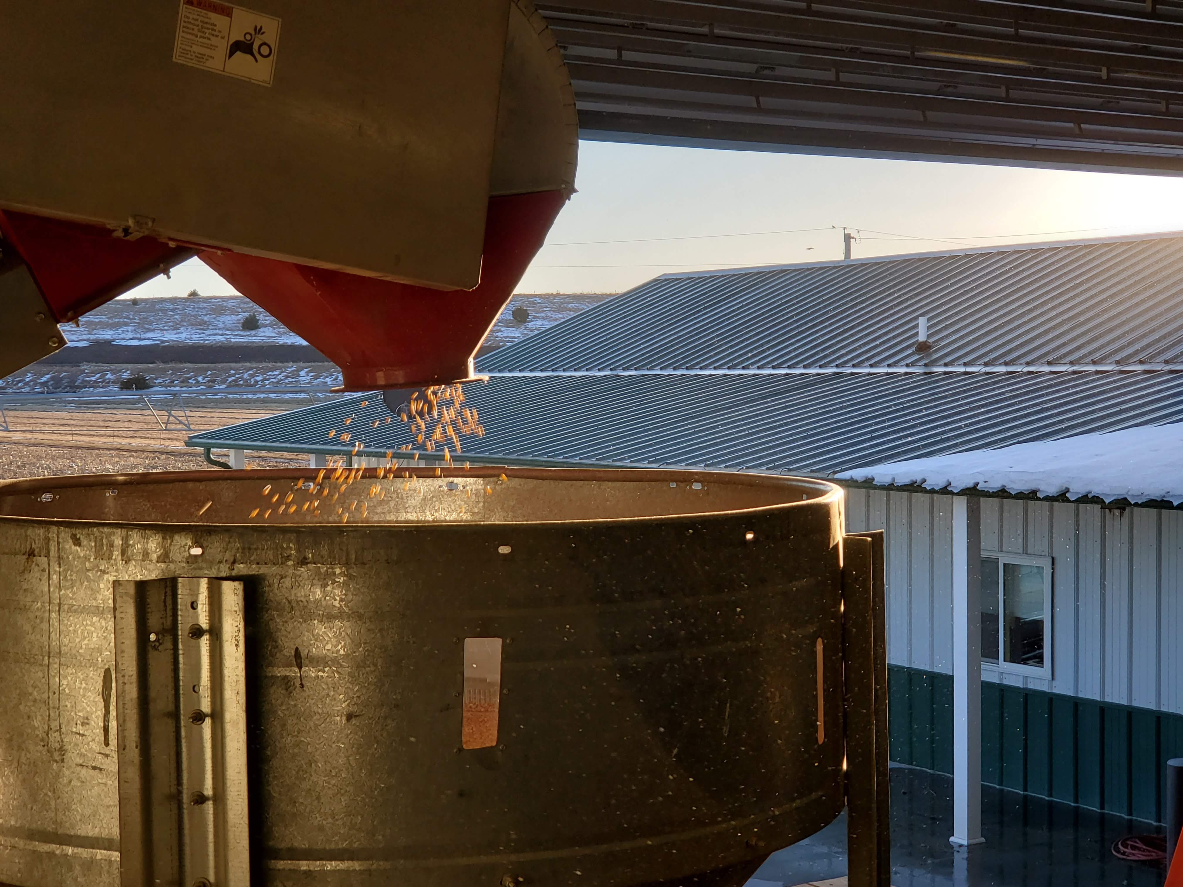 Zangger Popcorn Hybrids North Loup, NE, U.S.A. Popcorn Hybrid Seed