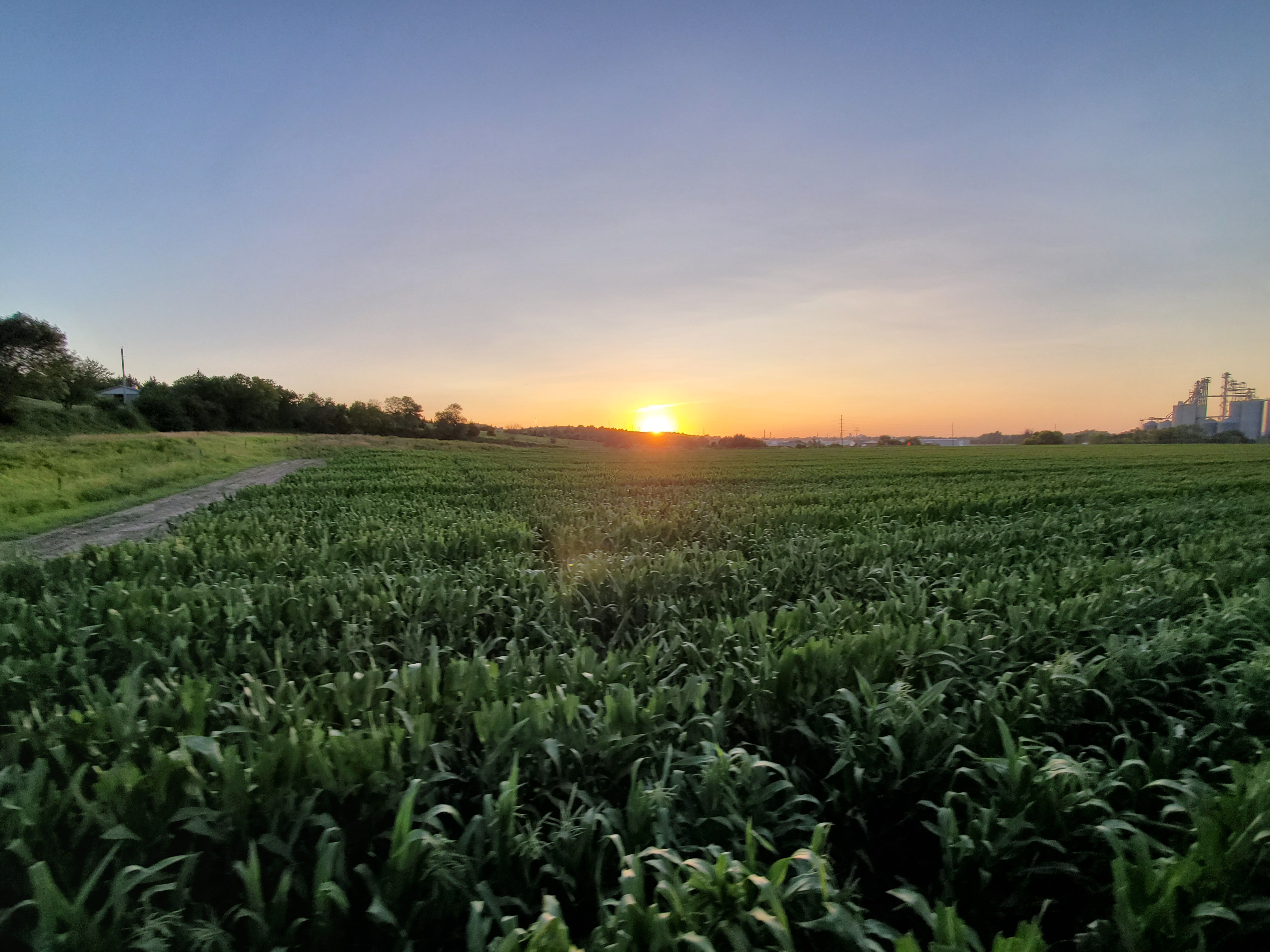Zangger Popcorn Hybrids North Loup, NE, U.S.A. Popcorn Hybrid Seed