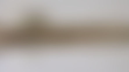 低音號的始祖Ophicleide!