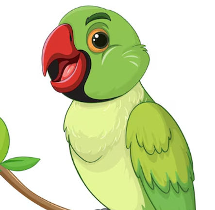 bird.avif