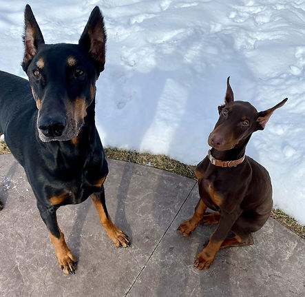 Bentley & Royce.jpeg