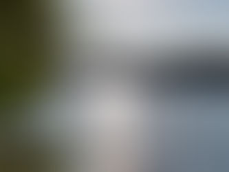 July 10th ~ Sharing Light Languages online! Join WEdNesDaYs with Wendy at 1:11 CST