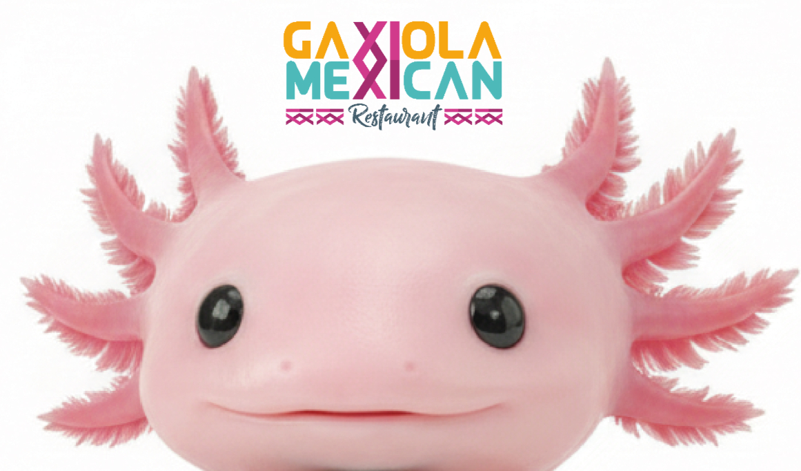 Foto del escritor: Gaxolotl