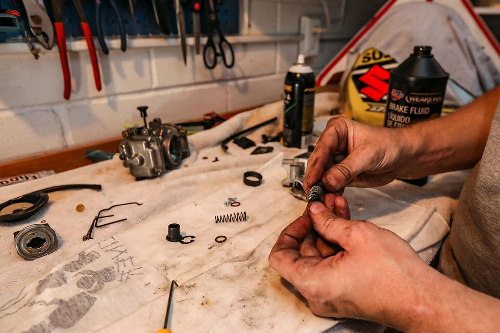 changing of lawn mower fuel filter and carburettor cleaning