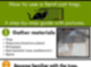 How to use a trap Infographic (1).png