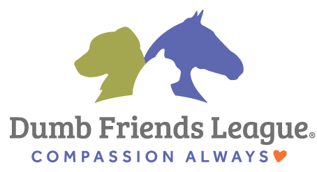 Dumb Friends League Solutions