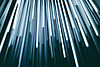 Tube Lights