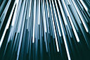Tube Lights