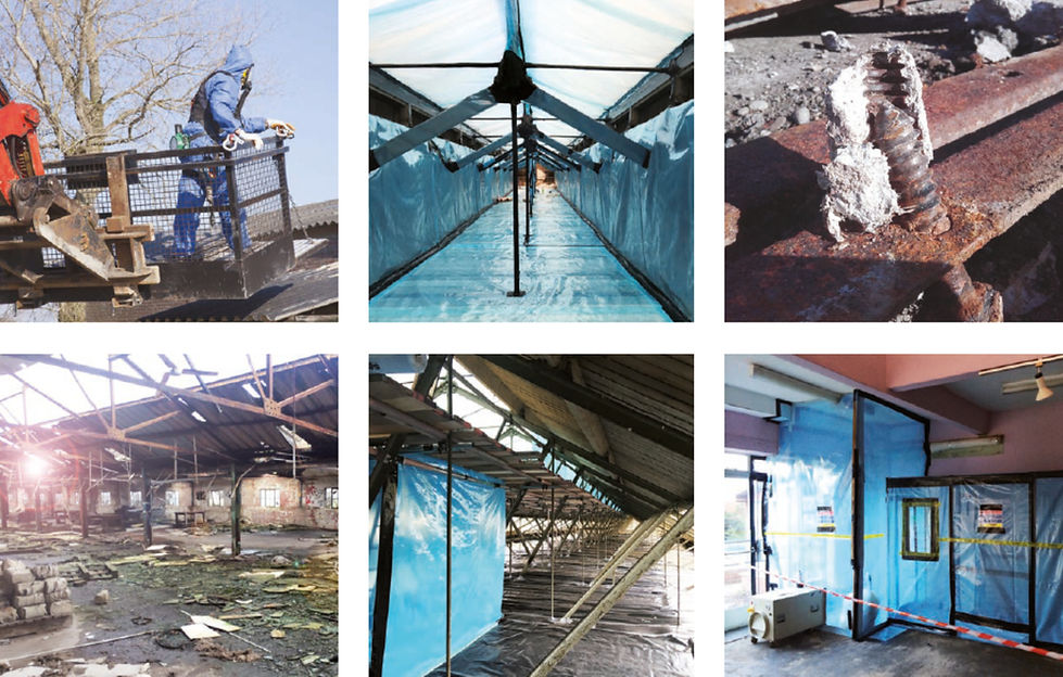 Multi Photo 5.jpg
