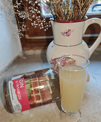 distillerie du bugey, gin framboise, cocktails, gin tonic, gin artisanal, belley, produit local