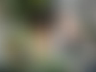 Here, you’ll find events that nourish the mind, body, and spirit, spark your inner child, and elevate your inner boss.