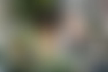 Here, you’ll find events that nourish the mind, body, and spirit, spark your inner child, and elevate your inner boss.