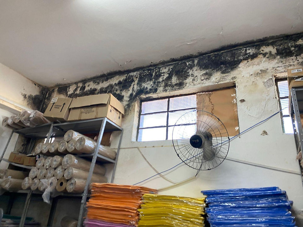 TCESP realizou fiscalização surpresa em 300 municípios sobre uniformes e almoxarifados escolares.