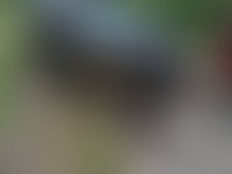 Uma pessoa morre após carro capotar na SP-250 em Pilar do Sul