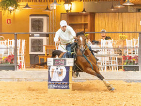 5ª Exposição Nacional do Cavalo Árabe segue até domingo no Centro Hípico de Tatuí