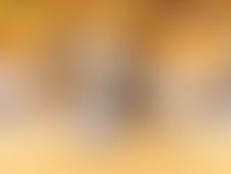 5ª Exposição Nacional do Cavalo Árabe segue até domingo no Centro Hípico de Tatuí