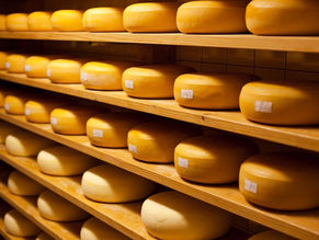 Rota do Queijo Paulista abre inscrições para produtores