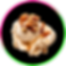 Pecan