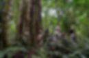 DSC09043.jpg