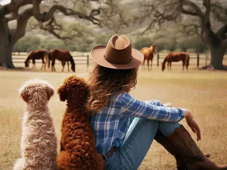 ¿Sabías qué…? Te contamos alguna de las ventajas de tener un cobberdog Delmombuey en tu vida.