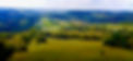 Farmstead Vineyard.jpeg
