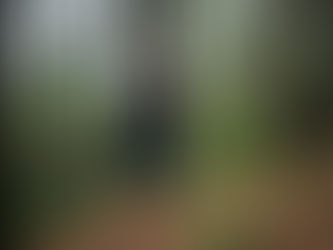 Como se tornar um corredor mais resistente e mais veloz, por Gisele Campoli